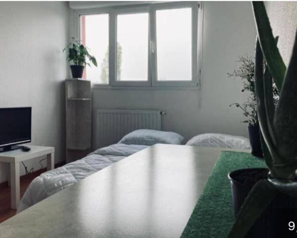 Zenith Strasbourg 2 Chambre Eckbolsheim Exterior photo
